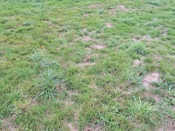 Terrain 761m2