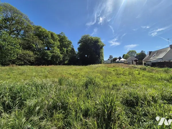 Terrain 2419 m²