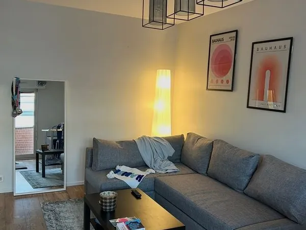 48m² meublé - parking et balcon - secteur Nationale/Solférino. Disponible le 12/12