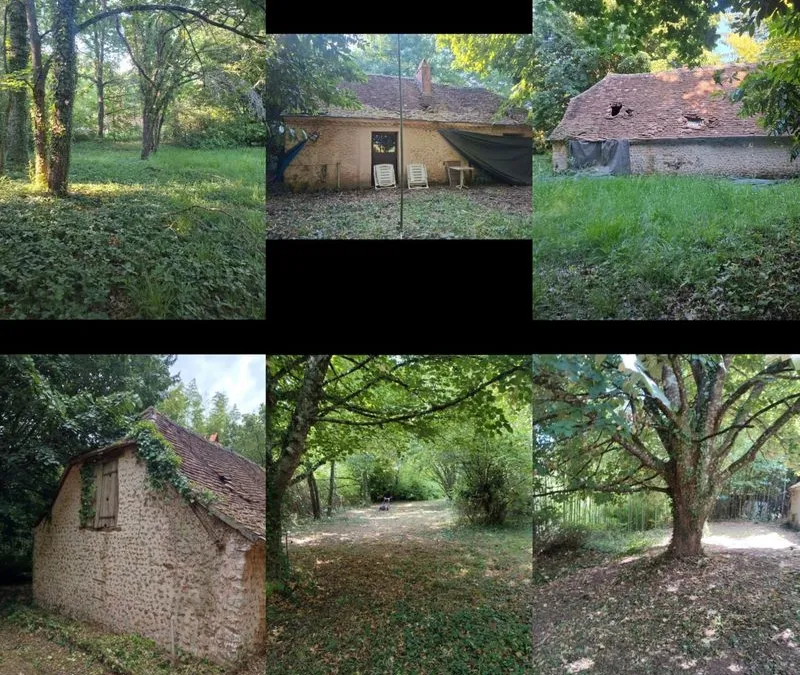 Photo 1