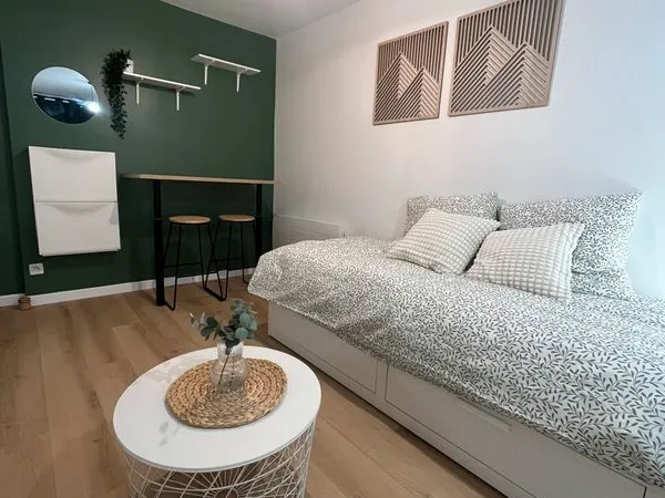 Studio meublé 20 m² - Rénové à neuf - Centre Laval - DPE C