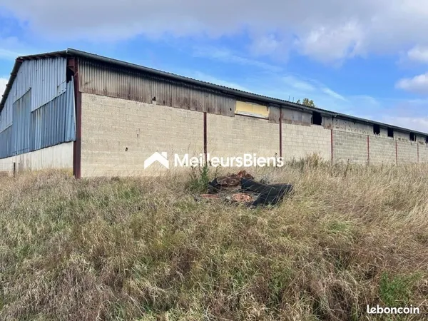 Local 600 m²