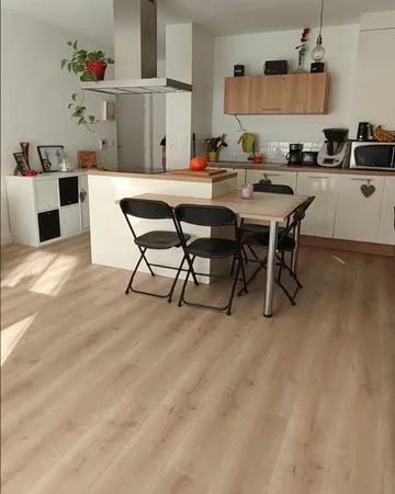 Appartement 75m2 avec deux terrasses et deux jardins Mions