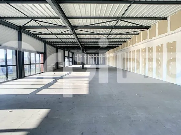 Local 175 m²