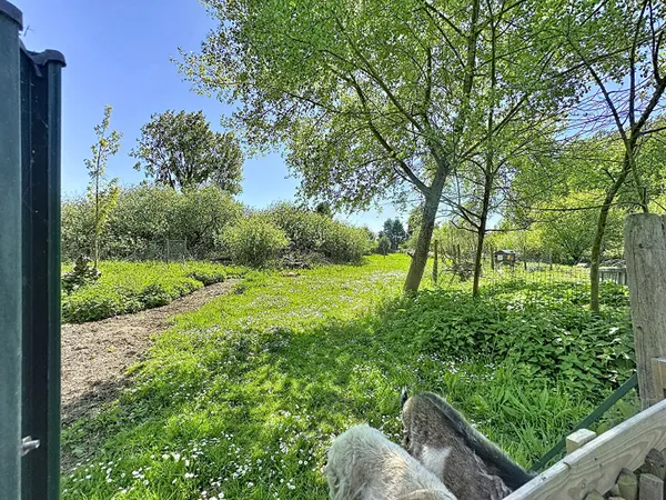 Terrain de loisir marais de guînes