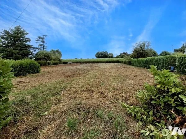 Terrain 997 m²