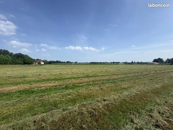 Terrain 1 138 m² Lamonzie Saint Martin