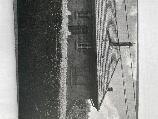 Maison mitoyenne en pleine nature