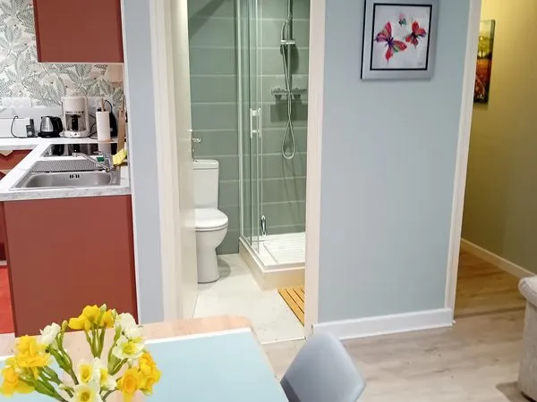 Location F2 meuble