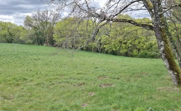 Terrain 6000 m²