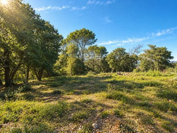 Terrain 1330 m²