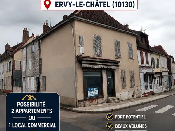 Bien immobilier de rendement Vente Ervy-le-Châtel 7p 230m² 30000€