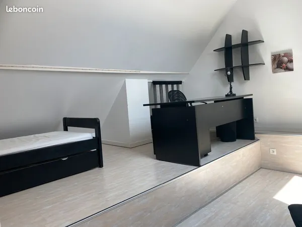 Appartement 1 pièce avec mezzanine - centre ville