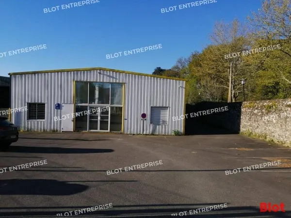 Entrepôt 590 m²
