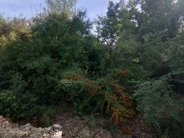 Terrain location besse sur issole