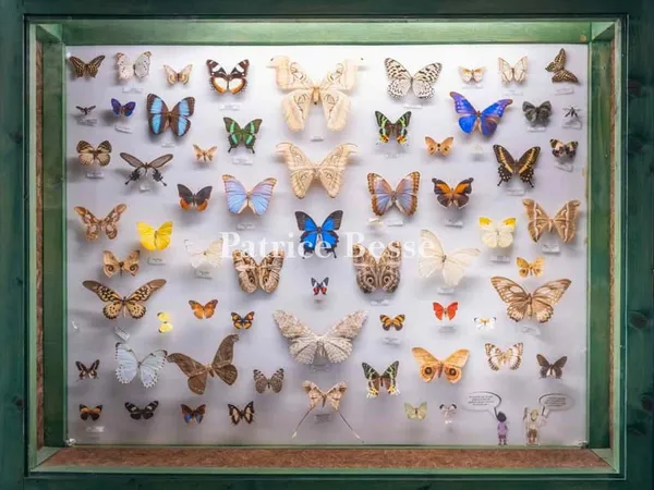 Dans le parc naturel régional de Millevaches, un musée en activité, ses collections et sa résidence 