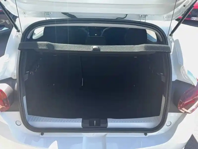 Dacia Sandero eco-g 100 — photo 18