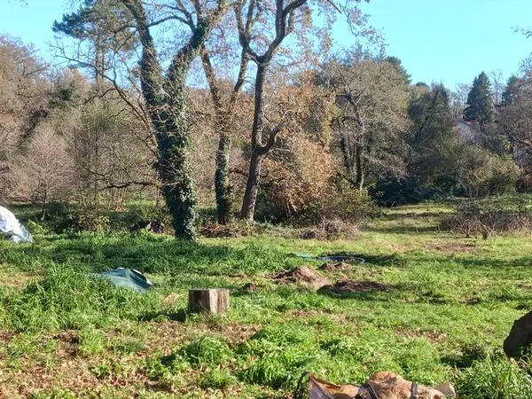 Terrain constructible bordé d'un ruisseau