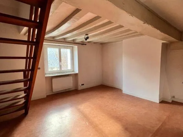 Duplex 1 pièce 41 m²