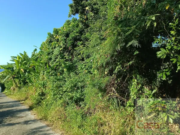 Terrain 500 m²