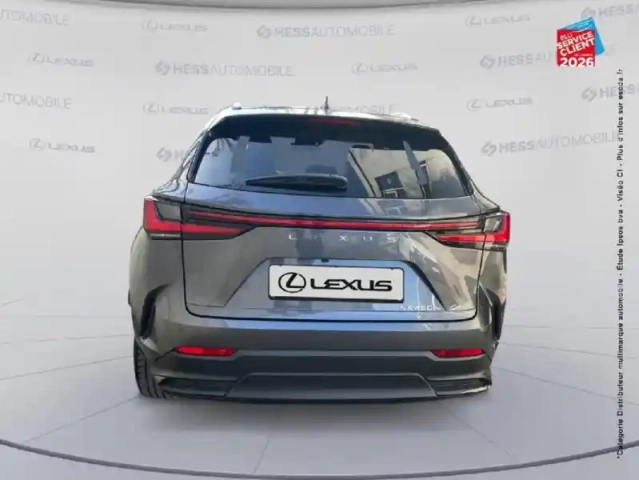 Lexus Nx 450h+ executive 4wd my25 — photo 22