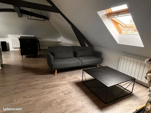 Appartement 2 pièces 31m2 (50 au sol)