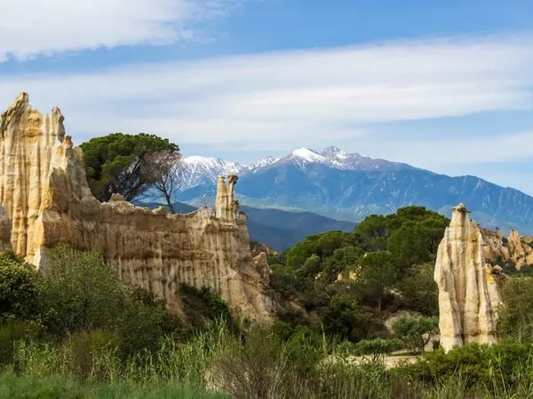 ILLE-SUR-TÊT : TERRAIN A BATIR - 3 FACES - 552M2