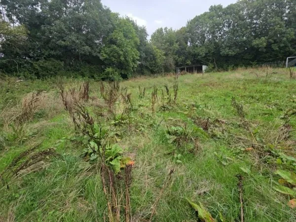 Terrain 2173 m²