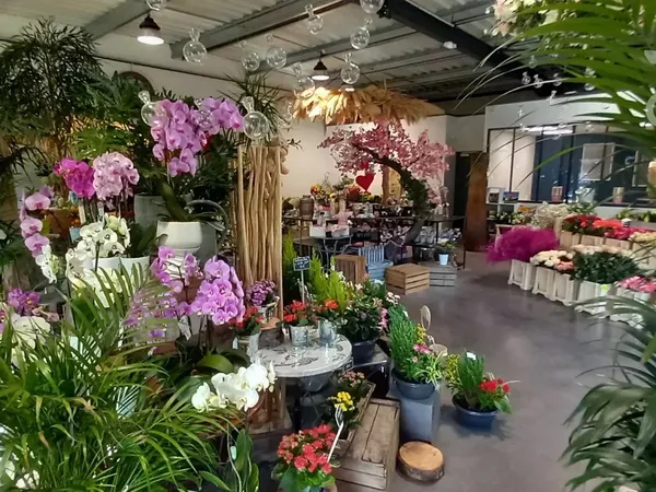 A VENDRE, FONDS DE COMMERCE de Fleurs à Blois