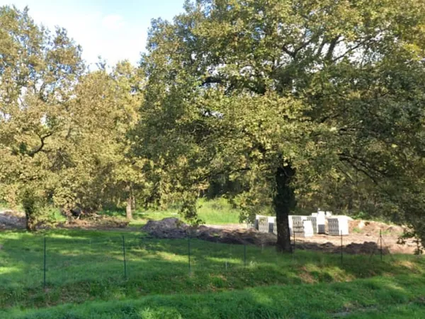 Maison neuve 4 pièces 100 m²
