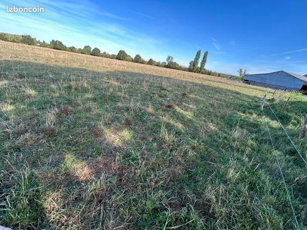 Terrain constructible