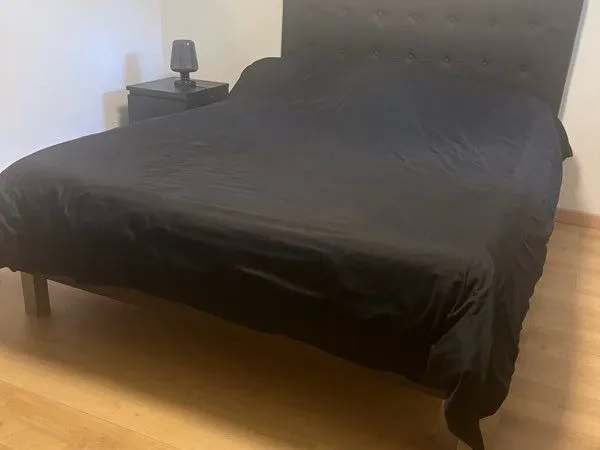 Studio chambre 40 m2