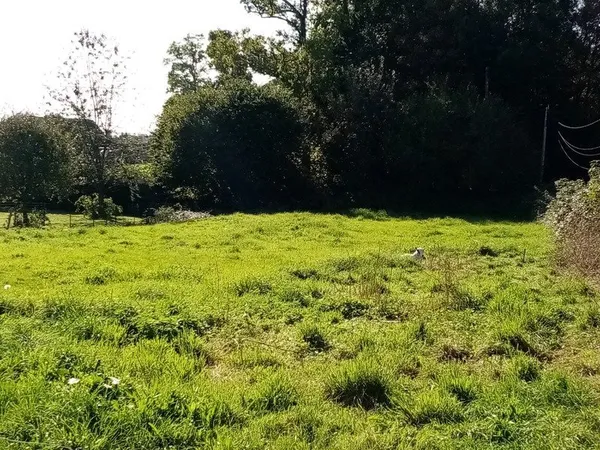 Dpt Seine Maritime (76), à vendre CANY-BARVILLE terrain à bâtir