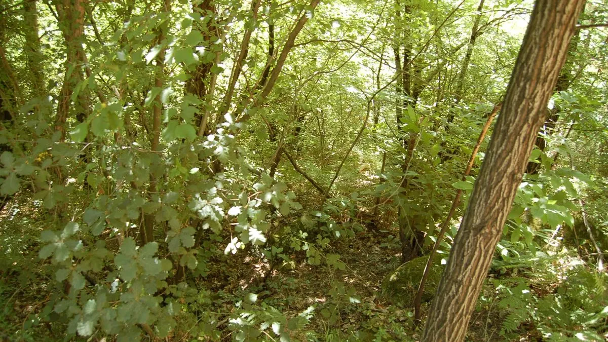 Photo 3