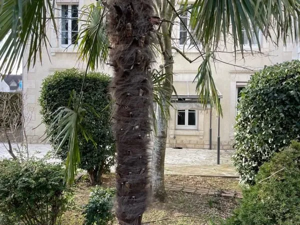 Maison 157 m² Bourges
