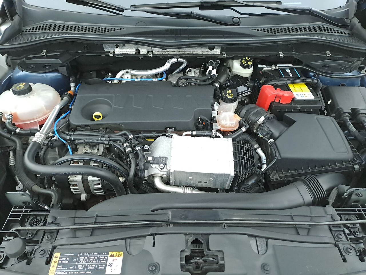 Ford Kuga — photo 16
