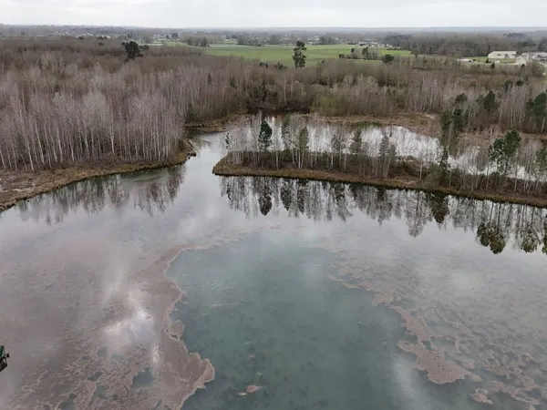 Propriété de chasse et pêche : deux étangs et parcelles boisées