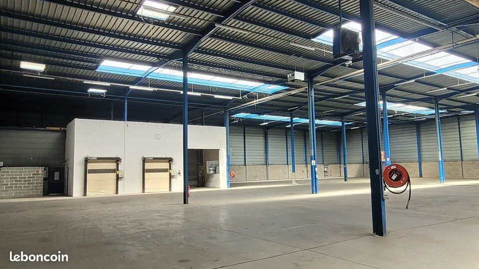 Photo 5