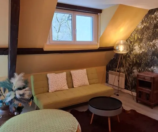 Studio de 40m2 à louer sur Cassaniouze