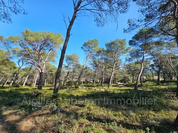 Terrain 14830 m²