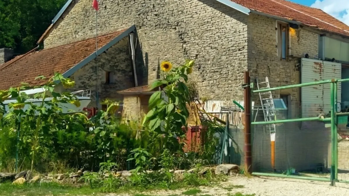Photo 3