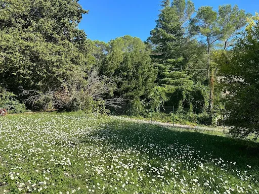 Terrain 1653 m²