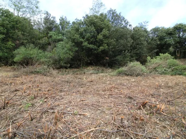 TERRAIN CONSTRUCTIBLE 1000 M2.
