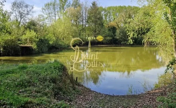 BEL ETANG SUR 4100 M2 ENV AVEC CHALET DE 20 M2 ET TERRASSE COUVERTE