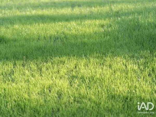Terrain 3000 m²