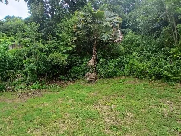 Terrain 800 m²