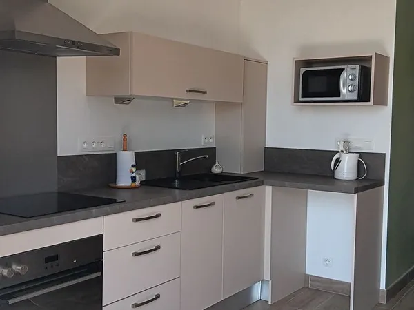 Studio meublé 25 m2 avec mezzanine PLUNERET