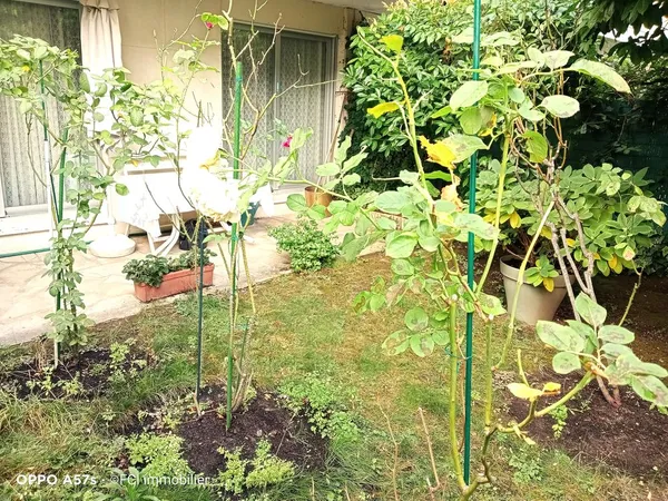 Urgent vente nue-propriété de courte durée