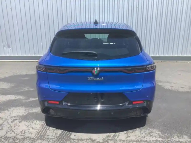 Alfa Romeo Tonale 1.6 multijet ii 130 ch vgt tct6 sprint — photo 6