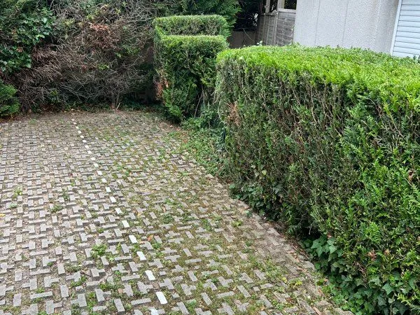 Place de parking